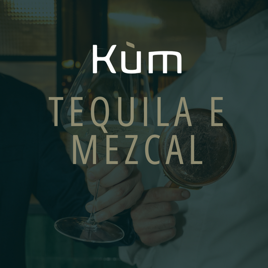 TEQUILA E MEZCAL